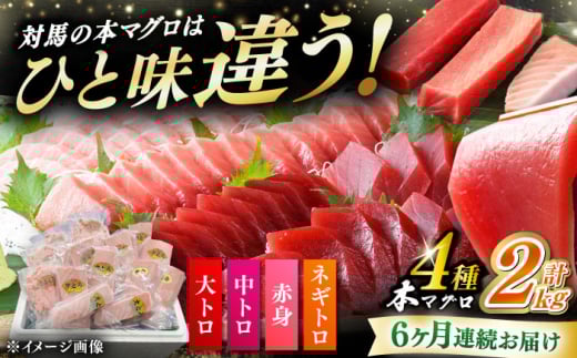yS6ցz ΔnY {}O 4 v2kgiԐg/g/g/lMgjsΔnstyΊCz Ⓚz e VN CN 芪i [WAH035]茧Δns455000ECYN