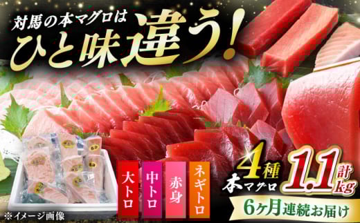 yS6ցz ΔnY {}O 4 v1.1kgiԐg/g/g/lMgjsΔnstyΊCz Ⓚz Hה VN 芪i CN [WAH038]茧Δns289000ECYN