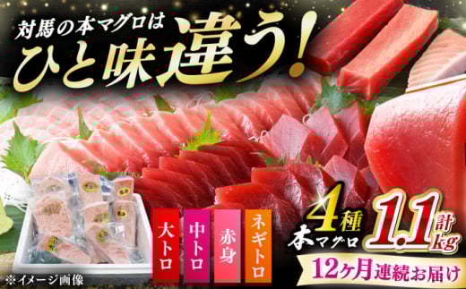 yS12ցz ΔnY {}O 4 v1.1kgiԐg/g/g/lMgjsΔnstyΊCz Ⓚz Hה VN 芪i CN [WAH039]茧Δns578000ECYN