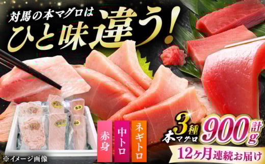 yS12ցz ΔnY {}O 3 v900giԐg/g/lMgjsΔnstyΊCz Ⓚz Hה 蕨  [WAH042]茧Δns446000ECYN