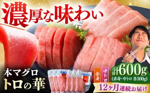 yS12ցzΔnY {}O 600giԐg300gAg300gj Δnsy˒JXz g̉ Δn VN }O Ԑg g  hg [WAQ070]茧Δns384000ECYN