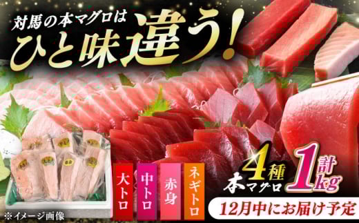 y12ɂ͂zΔnY {}O 4 v1kgiԐg/g/g/lMgjsΔnstyΊCz[WAH004-12]茧Δns40000ECYN