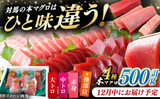 y12ɂ͂zΔnY  {}O 500g iԐgAgAgjsΔnstyΊCz[WAH025-12]茧Δns34000ECYN