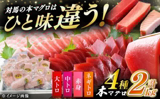 yʏzzΔnY {}O 4 v2kgiԐg/g/g/lMgjsΔnstyΊCz[WAH027]茧Δns76000ECYN