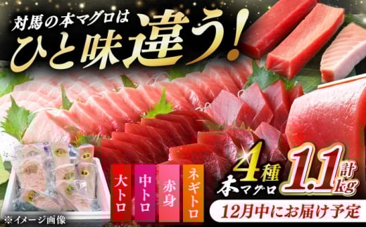 y12ɂ͂zΔnY {}O 4 v1.1kgiԐg/g/g/lMgjsΔnstyΊCz[WAH028-12]茧Δns49000ECYN