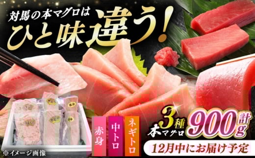 y12ɂ͂zΔnY {}O 3 v900giԐg/g/lMgjsΔnstyΊCz [WAH029-12]茧Δns38000ECYN