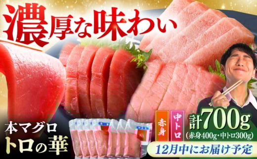 y12ɂ͂zΔnY {}O 700giԐg400gAg300gj Δnsy˒JXz[WAQ047-12]茧Δns37000ECY