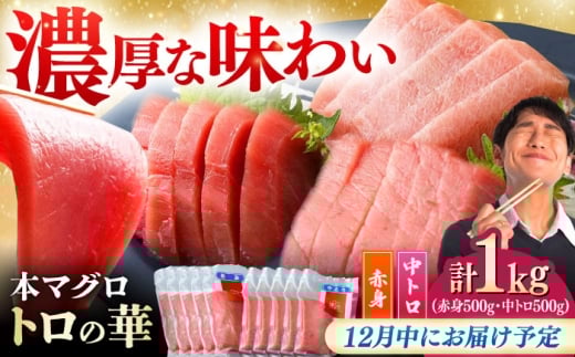 y12ɂ͂zΔnY {}O 1kgiԐg500gAg500gj Δnsy˒JXz[WAQ051-12]茧Δns51000ECY