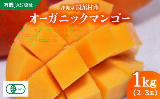 <2026年7月上旬から順次発送・有機JAS認証>オーガニックマンゴー1kg(2〜3玉)【1589195】沖縄県国頭村26000果物・フルーツマンゴー・パイナップル