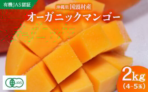 <2026年7月上旬から順次発送・有機JAS認証>オーガニックマンゴー2kg(4〜5玉)【1589198】沖縄県国頭村46000果物・フルーツマンゴー・パイナップル