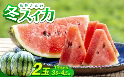 <2026年2月〜3月頃の発送>島袋さんの冬スイカ 2玉(1玉あたり3.5〜4.5kg)【1577666】沖縄県国頭村25000果物・フルーツメロン・スイカ