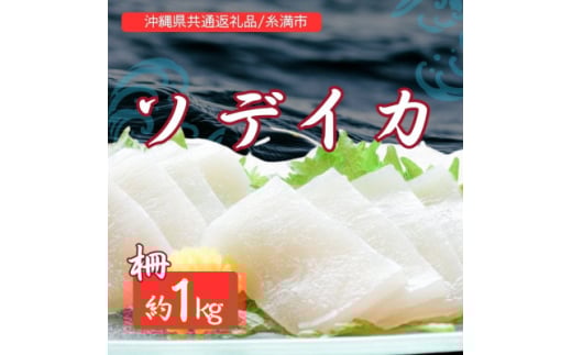 ソデイカ(セーイカ) 1kg(2〜3柵)【1591583】沖縄県国頭村14000魚介・海産物イカ・タコ・ウニ