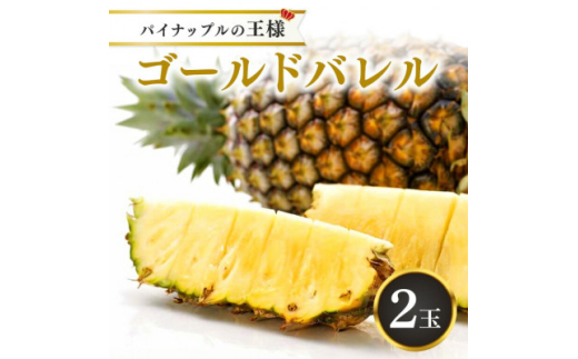<2026年5月から順次発送・ハウス栽培>パイナップルの王様 ゴールドバレル2玉【1608233】沖縄県国頭村24000果物・フルーツその他 果物・フルーツ