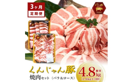<毎月定期便>くんじゃん豚 焼肉セット(バラ・ロース)計4.8kg全3回【4067076】沖縄県国頭村54000肉豚肉