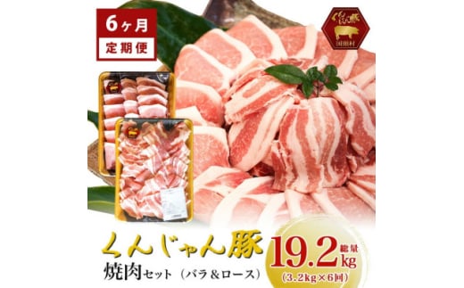 <毎月定期便>くんじゃん豚 焼肉セット(バラ・ロース)計19.2kg全6回【4067079】沖縄県国頭村198000肉豚肉