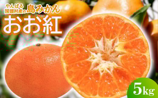 <2025年12月頃から順次発送>やんばる国頭村産の島みかん おお紅 5kg【1618487】沖縄県国頭村16000果物・フルーツみかん・柑橘類