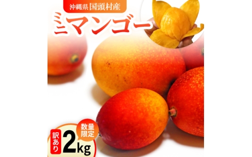 <2026年6月から順次発送>数量限定の訳ありミニマンゴー2kg【1634015】沖縄県国頭村31000果物・フルーツマンゴー・パイナップル