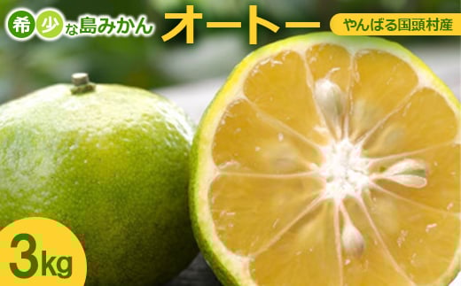 2025N10珇΂鍑Y 󏭂ȓ݂uI[g[v3kgy1662091zꌧ12000ʕEt[c݂Ek