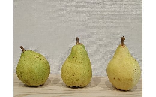 中川村産西洋梨「ル・レクチェ」 3Kg箱長野県中川村11000果物・フルーツりんご・梨