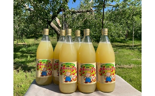 片桐農園 100%リンゴジュース飲み比べ 3種6本セット長野県中川村15000お茶・飲料果汁・野菜飲料