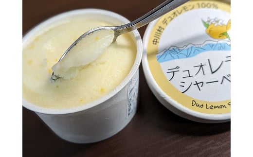 中川村産レモン使用のレモンシャーベット 5個入り長野県中川村11000菓子・スイーツアイス・ジェラート