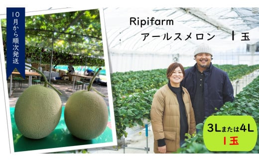 Ripifarm@A[X@P(3L܂4L)VĒ7000ʕEt[cEXCJ