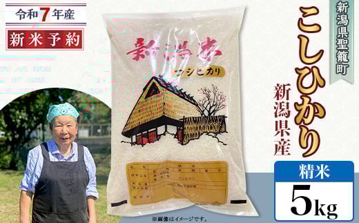 【精米】新潟県産コシヒカリ5kg(特別栽培米)近藤農園新潟県聖籠町17000米・パン白米