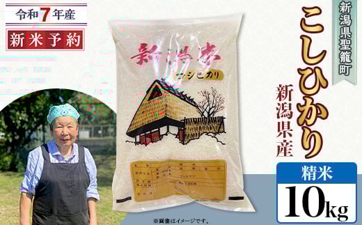 【精米】新潟県産コシヒカリ10kg(特別栽培米)近藤農園新潟県聖籠町34000米・パン白米