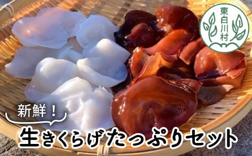 ̂ꂽĐVNI 炰ՂZbg Y 쑺Y H@ 炰 炰 炰 炰 LNQ ؎ ώ 18000~򕌌쑺18000ZbgE؁EHH