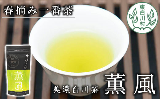 白川茶 茶蔵園 上煎茶 「薫風-くんぷう-」 煎茶 お茶 緑茶 日本茶 茶葉 国産 一番茶 3000円岐阜県東白川村3000お茶・飲料お茶