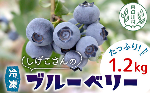Ⓚ u[x[ 1.2kg 300g×4pbN  ֗ ̃u[x[ Â 嗱 W َq XC[c fU[g ACX ʕ t[c u[x[W _ w엿sgp