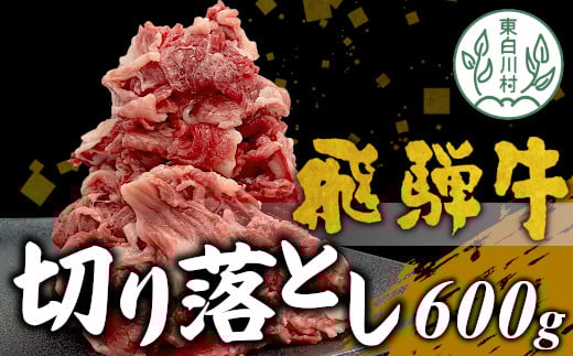 【2月発送】飛騨牛 切り落とし 600g 牛肉 和牛 肉 切落し ブランド牛 国産 牛 10000円岐阜県東白川村10000肉牛肉