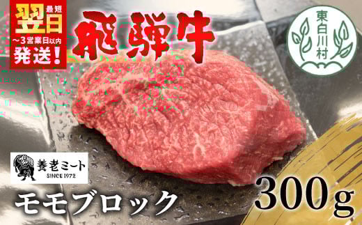 飛騨牛 モモブロック 300g 牛肉 和牛 肉 ローストビーフ 焼肉 ステーキ 赤身 赤身肉 牛 鉄板焼き お祝い 贈答 ギフト 贈り物 ふるさと納税 東白川村 岐阜 贅沢 モモ もも肉 養老ミート 13500円岐