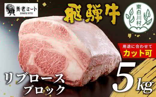 お好きなカット可能! 飛騨牛 リブロースブロック 5kg 牛肉 和牛 肉 塊肉 リブロース ステーキ すき焼き しゃぶしゃぶ 赤身 肉 牛 牛肉 鉄板焼き お祝い 贈答 ギフト 贈り物 ふるさと納税 東