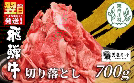 【11月発送】 飛騨牛 切り落とし 700g 牛肉 和牛 肉 お肉 切落し 不揃い にく 切り落し 東白川村 ブランド牛 国産 人気 おすすめ 薄切り きりおとし 岐阜 すき焼き お取り寄せ 冷凍 養老ミート