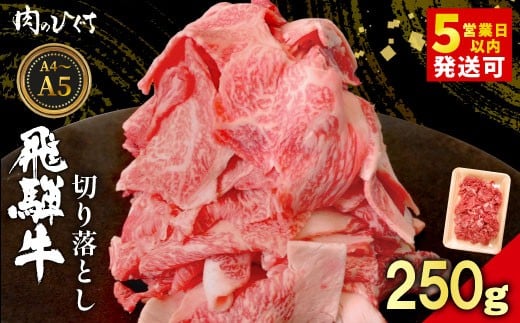 飛騨牛 切り落とし 250g A5 A4 国産 牛 黒毛和牛 和牛 牛肉 切落し 切り落し 薄切り 訳あり 牛丼 すき焼き しゃぶしゃぶ 炒め物 東白川村 岐阜 飛騨 贅沢 霜降り ロース バラ もも ウデ 肉のひぐ
