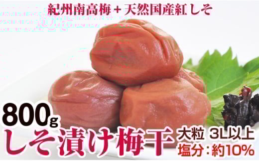 Ђ~(IB썂~)800g 嗱 3Lȏ a̎RYa̎RVs11000ZbgE؁EHHiЕE~EL`