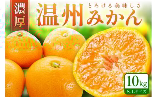 「濃厚な味のとろける美味しさ」 温州みかん 10kg 《先行予約》みかん ミカン  サイズ混合 S〜Lサイズ 甘い 果物 フルーツ 濃厚 産地直送 期間限定 デザート 贈り物  贈答和歌山県御坊市250