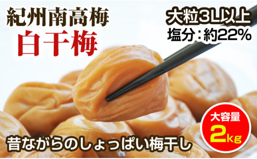 ̂Ȃ̂ς~(~)2kg 嗱3LȏmYnyƒpzHiY sgp IB썂~ a̎RYa̎RVs14000ZbgE؁EHHiЕE~EL`