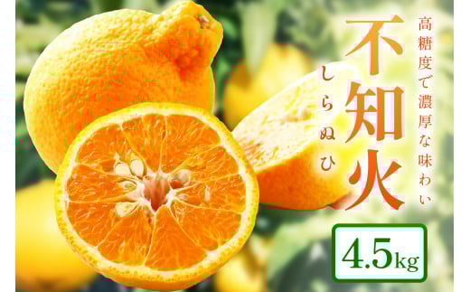 和歌山産 しらぬひ【デコポン】約4.5kg 濃厚春みかん≪2026年2月下旬頃より順次発送分≫和歌山県御坊市15000果物・フルーツみかん・柑橘類
