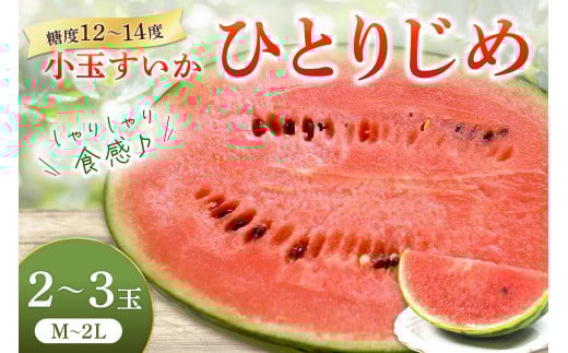 ʂ(ЂƂ肶)2`3 a̎RYss\ty2026N6{珇\zԌ VV 甖 ʓ Â x12`14x ① S Ia̎RVs13000ʕE