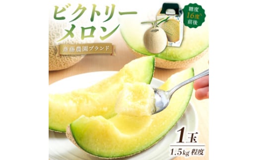 斎藤農園ブランド「ビクトリーメロン」アールスメロン(マスクメロン)1玉 1.5kg程度≪先行予約2026年6月下旬以降発送分≫【配送不可地域:北海道・青森・秋田・岩手・沖縄・離島】和歌山県