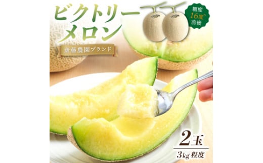 ֓_uhurNg[vA[X(}XN)23kgxs\2026N6{ȍ~yzsnFkCEXEHcEEEza̎R