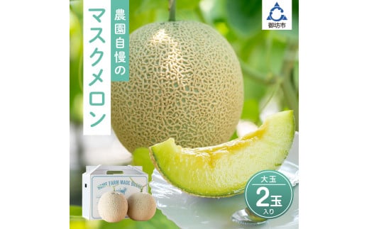 農園自慢の『マスクメロン』(アールスメロン)大玉×2玉入り《先行予約》2026年6月下旬から順次発送【配送不可地域:北海道 ・青森・秋田・岩手・沖縄・離島】和歌山県御坊市16000果物・フ