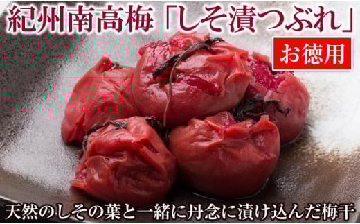 お徳用 紀州南高梅しそ漬つぶれ ( 塩分約15% ) しそ漬 つぶれ梅 うめぼし 梅干し 梅 しそ 紫蘇 シソ 大容量 お裾分け 完熟 天然 しその葉 さわやか すっぱい 表皮破れ 梅肉和歌山県御坊市13000