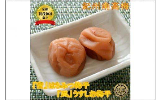 贈答 薬師梅 二種セット 各450g和歌山県御坊市19000鍋セット・総菜・加工食品漬物・梅干・キムチ