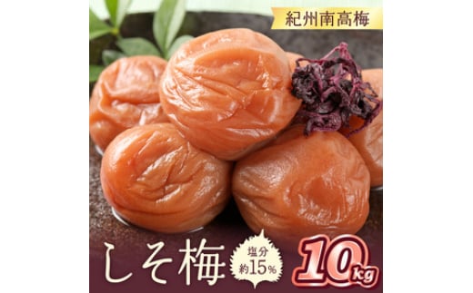 紀州南高梅 しそ梅(塩分15%) 10kg和歌山県御坊市100000鍋セット・総菜・加工食品漬物・梅干・キムチ