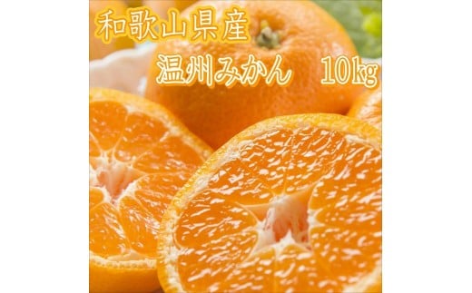 和歌山県産 温州みかん 10kg《先行予約》和歌山県御坊市21000果物・フルーツみかん・柑橘類