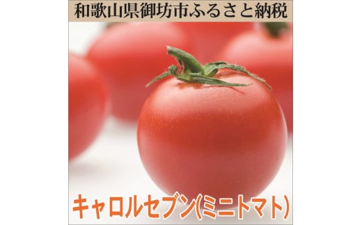 御坊市 旬の野菜・果物定期便(春・夏・秋・冬)4回 B和歌山県御坊市40000果物・フルーツその他 果物・フルーツ