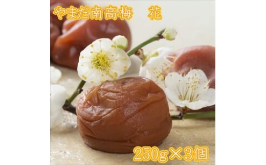 やまだ南高梅 花(250g×3個)和歌山県御坊市15000鍋セット・総菜・加工食品漬物・梅干・キムチ